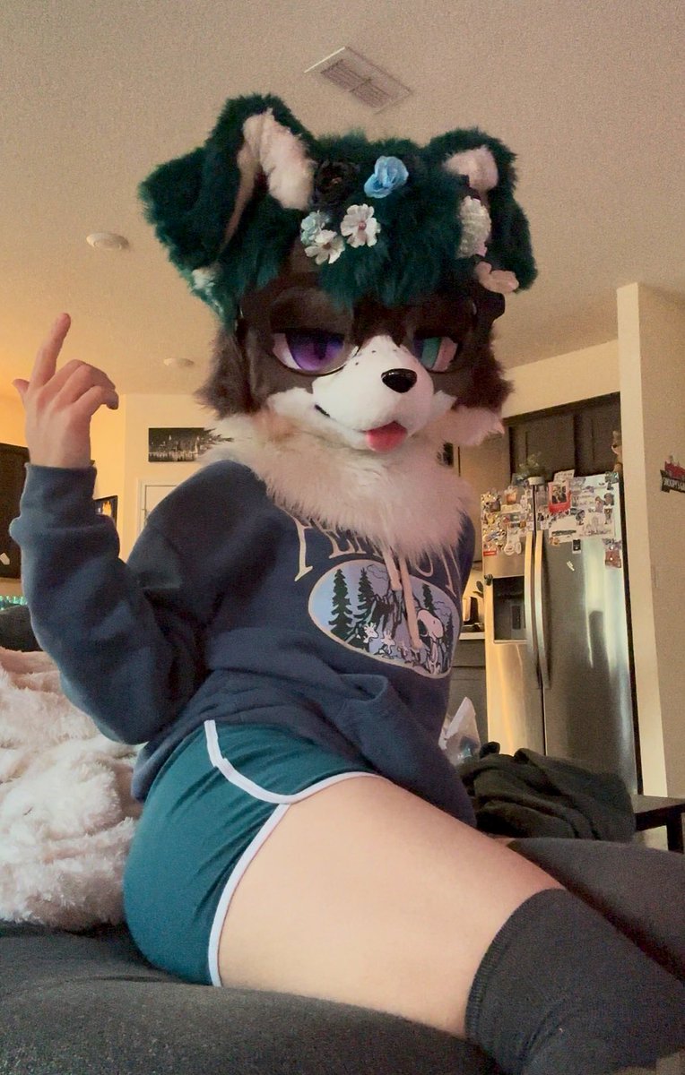 Frizk🔜TFF tweet media