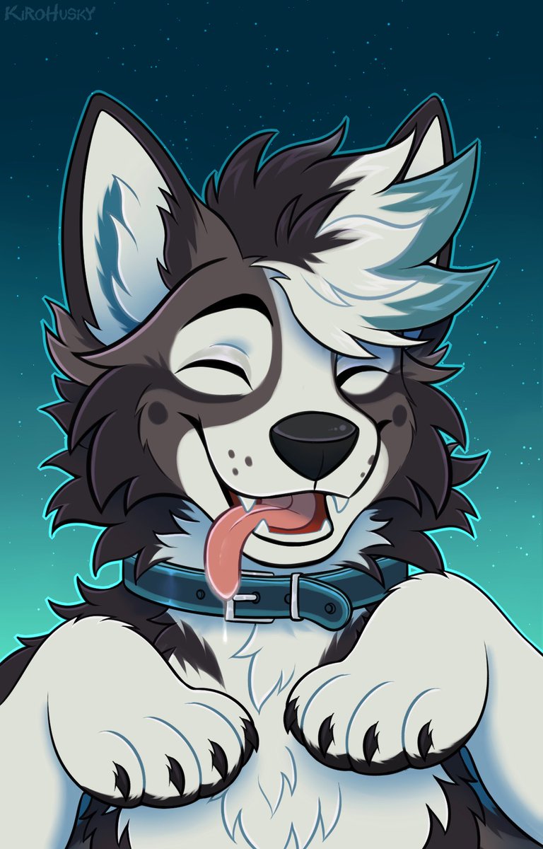 Rocky Husky tweet media