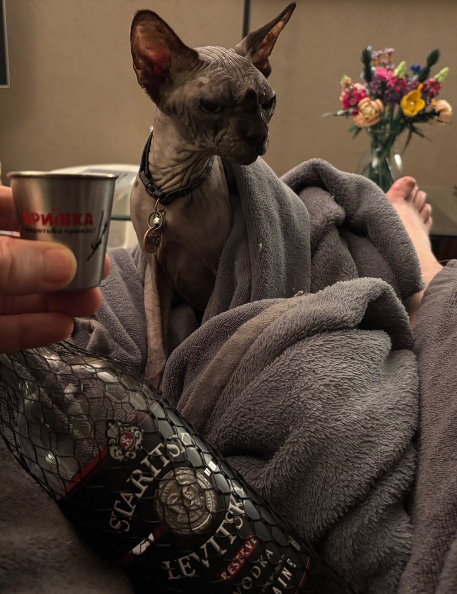 Team Arjen tweet media