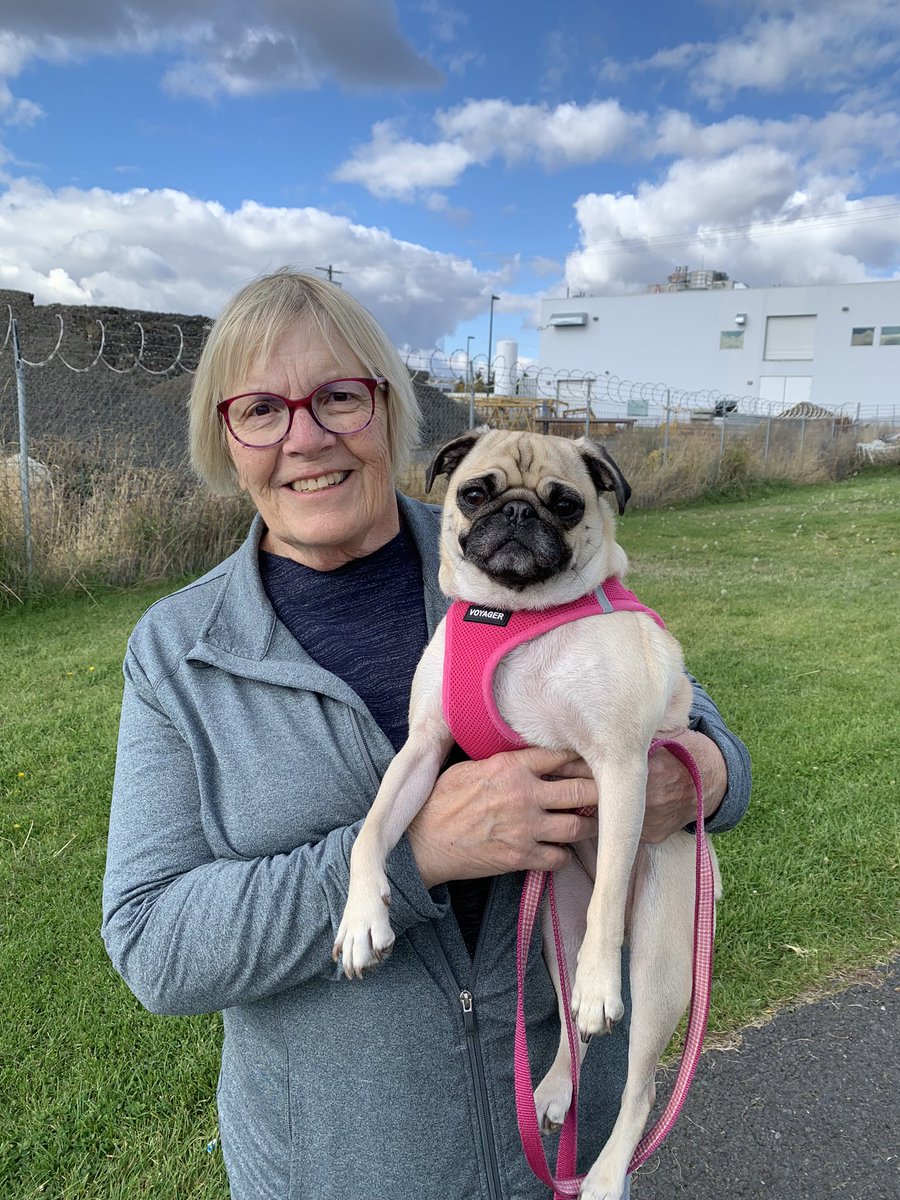 Lt. Petunia Mae Parker 🐷🐑 tweet media