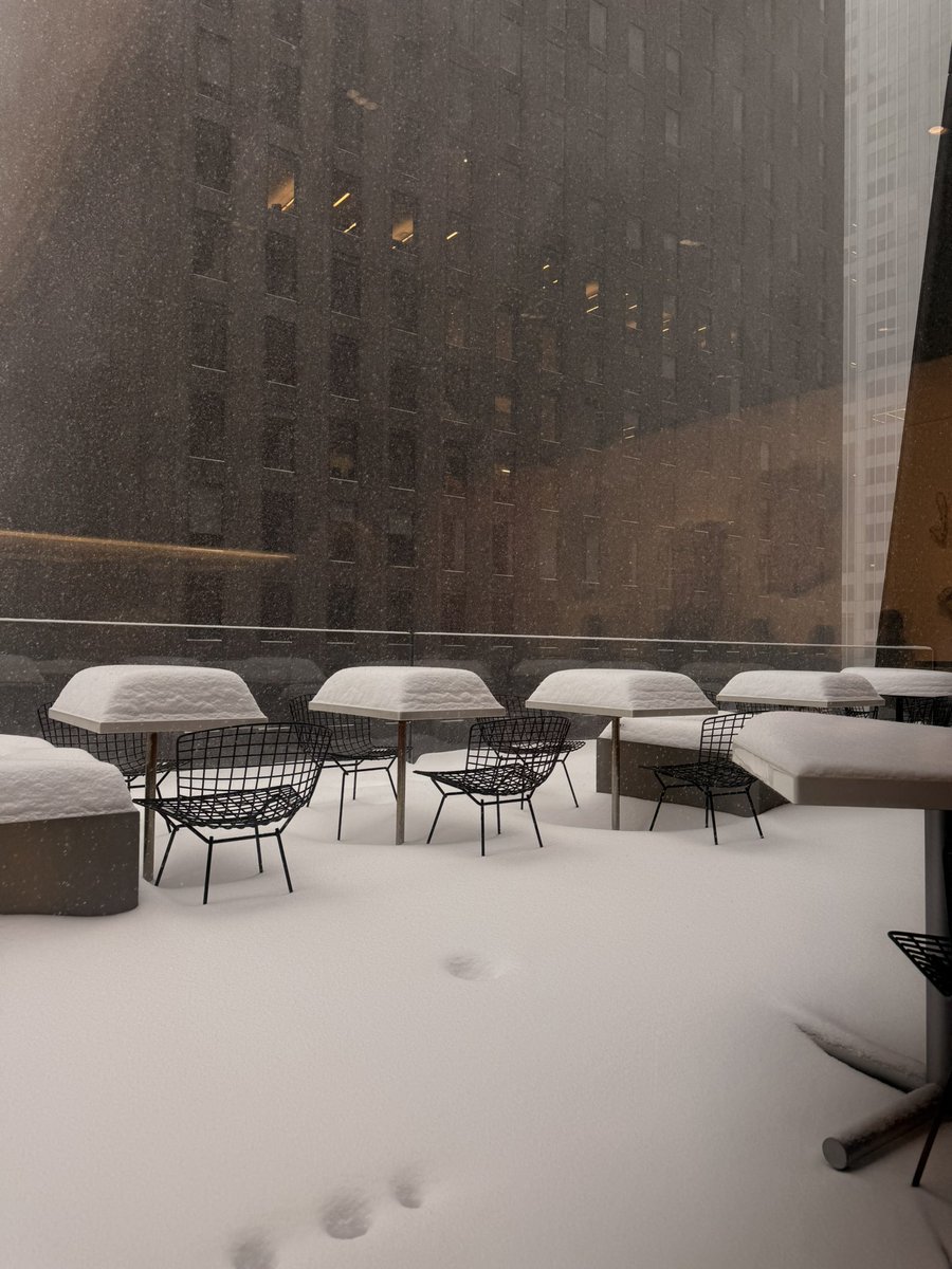 Guillermo Arévalos Vigo🇵🇾 tweet media