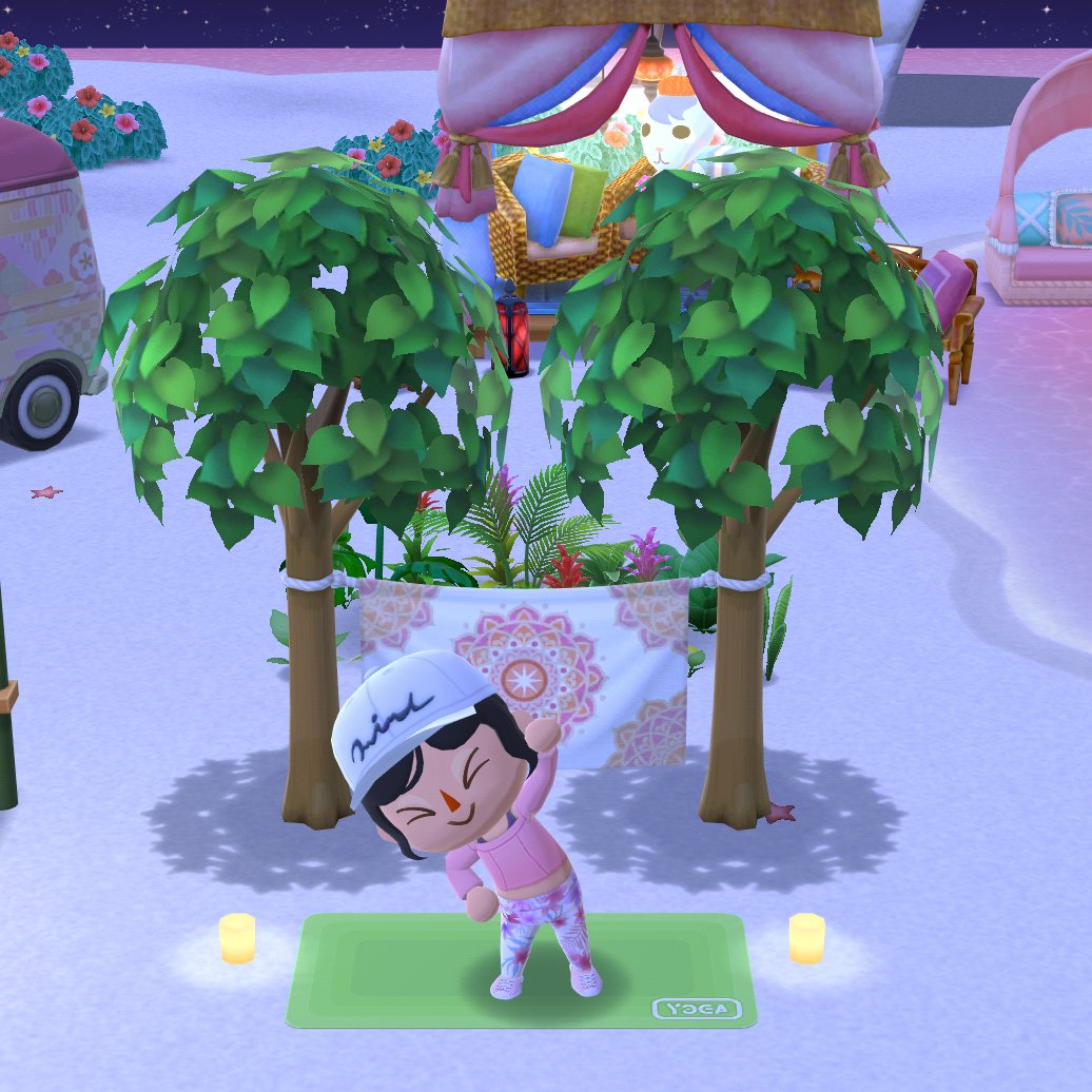 bibblecrossingg's tweet photo. Nighttime yoga 🏕️✨

#acpc #acpcComplete https://t.co/y1NmdkaDHZ
