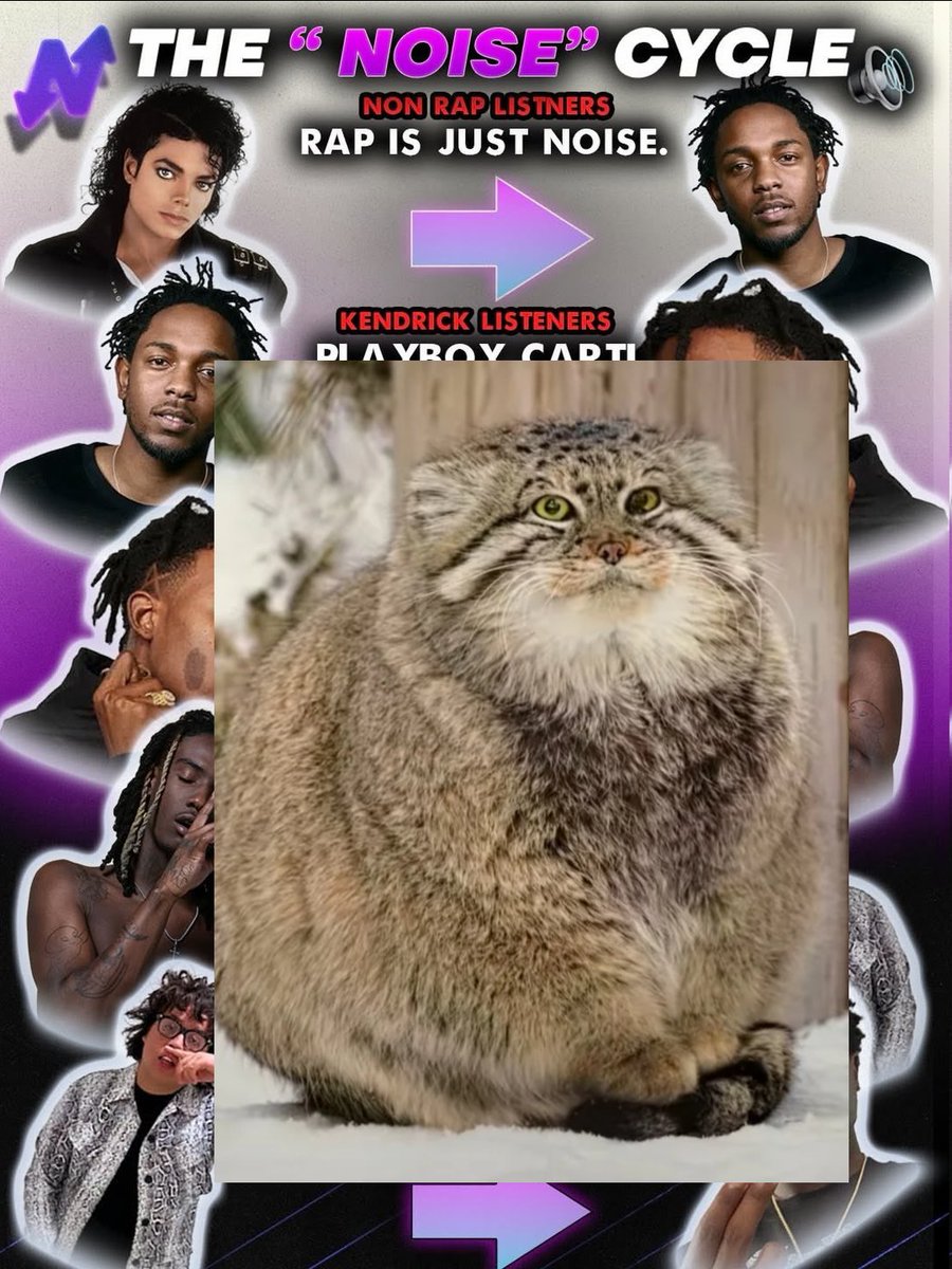 Kailey !! tweet media