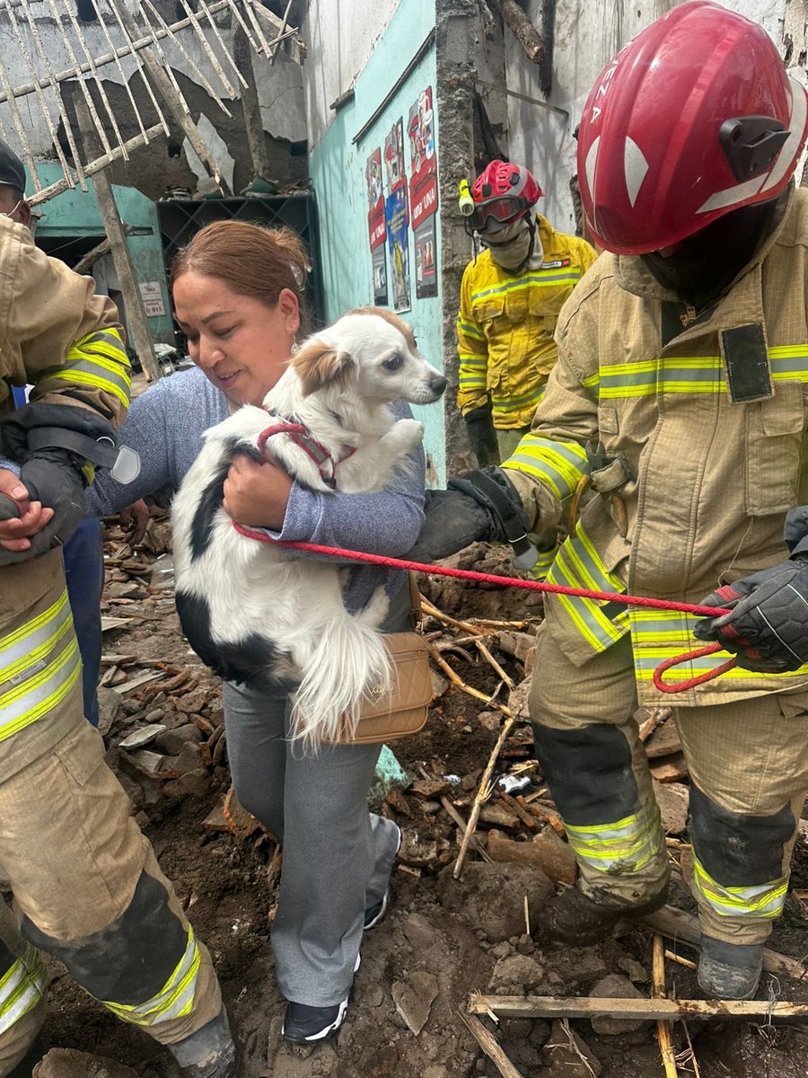 Riesgos_Ec's tweet photo. 📍 #Imbabura | Cotacachi – Centro

Evento: 🌧️ Lluvias intensas
Estado: 🟠 En seguimiento

Colapso de una vivienda de adobe por lluvias y vetustez.

Afectaciones: 
3 familias damnificadas (8 personas) y 2 familias afectadas (2 personas).

✔️Cuerpo de Bomberos realizó la inspección y trabajos evacuación preventiva de personas del inmueble y remoción de escombros.

Las familias permanecen en casas de acogida y recibieron asistencia humanitaria.

➡️ Evento en seguimiento por la SNGR.