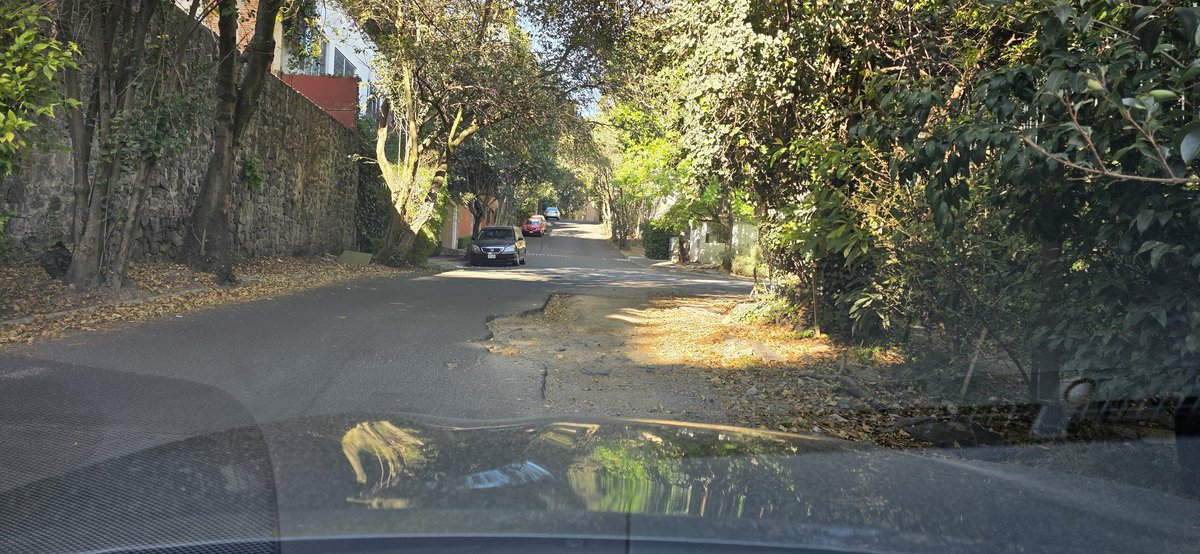 ronifele's tweet photo. @MHcesac @mauriciotabe @AlcaldiaMHmx por favor, llevamos casi un año con estos baches en bosque de Nogales entre bosque de ocozoles y bosque de zapotes, URGE https://t.co/bbjDljb5sv