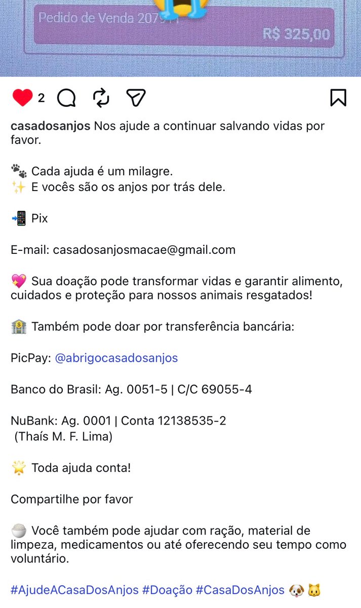 ajudealindinha's tweet photo. Oi tios , essa é a casa dos anjos 
O Instagram deles . 
Infelizmente está com dívida na casa de ração e não podem pedir ração , os gatos são os que mais sofrem .  

https://t.co/UuTgL9l1kW https://t.co/k4XeuAGDuo