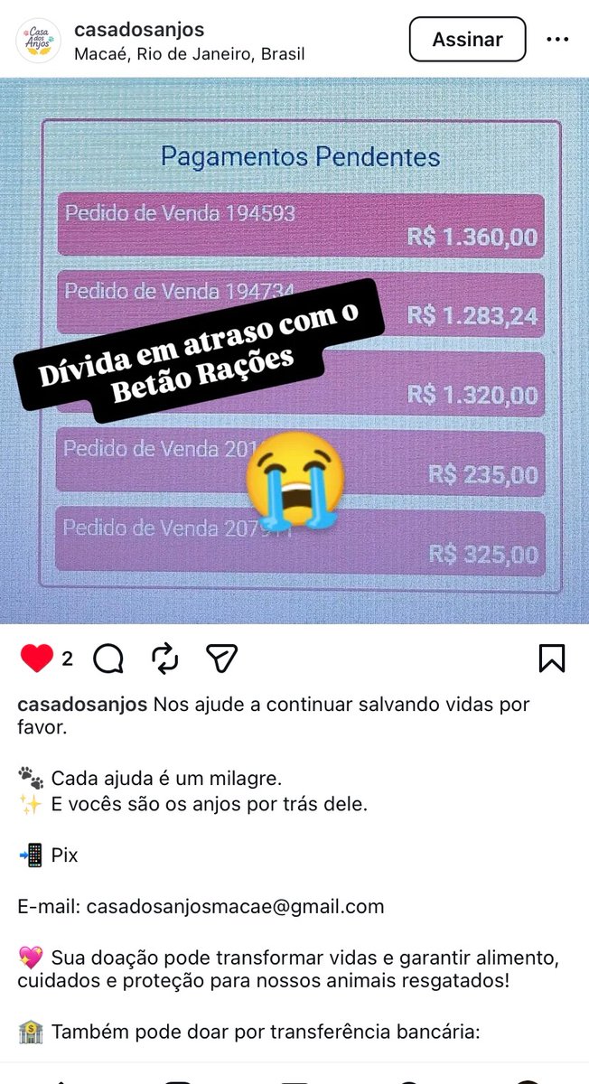 ajudealindinha's tweet photo. Oi tios , essa é a casa dos anjos 
O Instagram deles . 
Infelizmente está com dívida na casa de ração e não podem pedir ração , os gatos são os que mais sofrem .  

https://t.co/UuTgL9l1kW https://t.co/k4XeuAGDuo