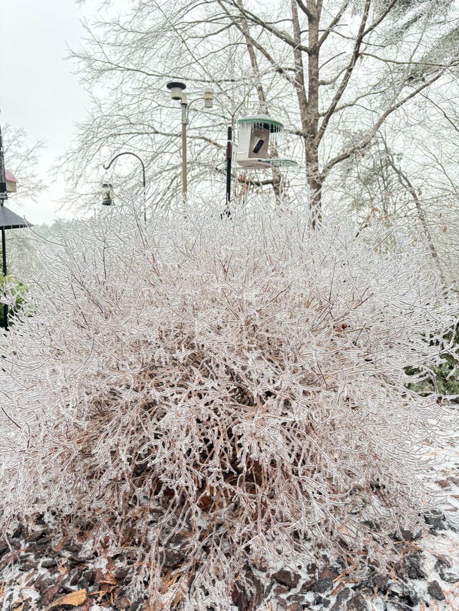 weathernerdga's tweet photo. 4 miles NE of Dahlonega, Ga
Lumpkin County

Never got above freezing at my location. Power is out and after exploring, looks like it will be that way for a while

@NWSAtlanta https://t.co/SnkAwhdzeO