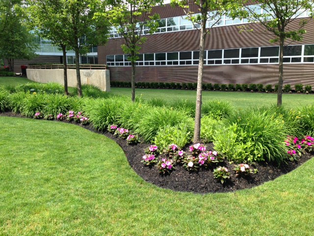 LandscapeDavis's tweet image. Is Your Commercial Landscaping Company Really Providing You a Custom Landscaping Plan? View 3 Ways to Find Out…
LEARN MORE... davislandscapeky.com/is-your-commer…

#landscaping #landscape #hardscapes #walkways #driveways #retainingwalls #pavers #paverpatios #nky #northernkentucky #cincinnati