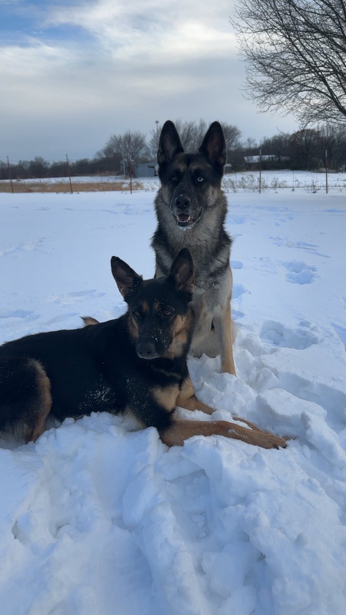 like 🥺🥺🥺 they’re so photogenic