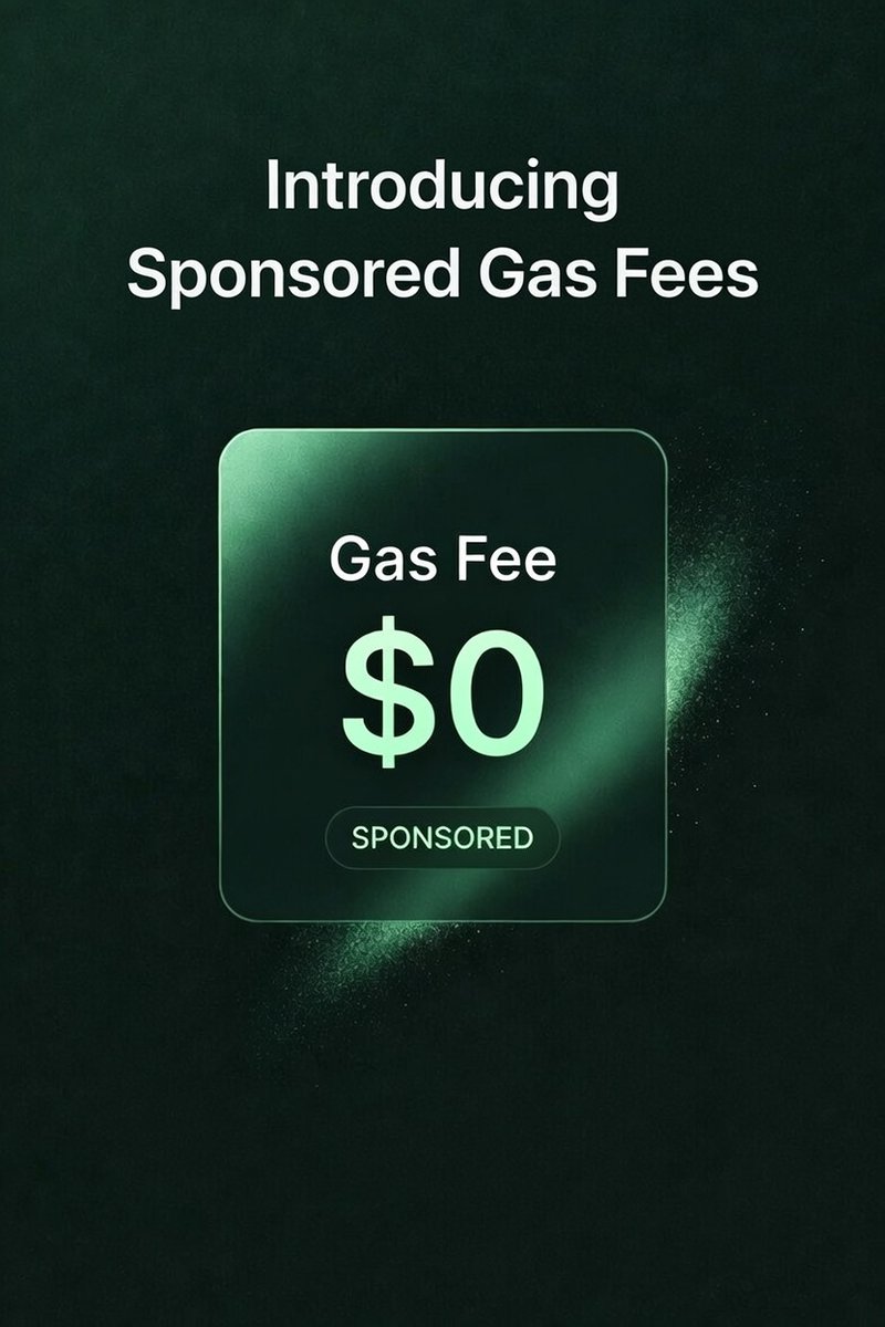 Bridging should be seamless. Gas fees break that.

Every extra cost = friction. Every friction point is a user lost.

So we sponsored gas. 

Fully. 

On every Phorus transaction.

You asked for it. We delivered. 

Hyperliquid. Phorus.

phorus.xyz