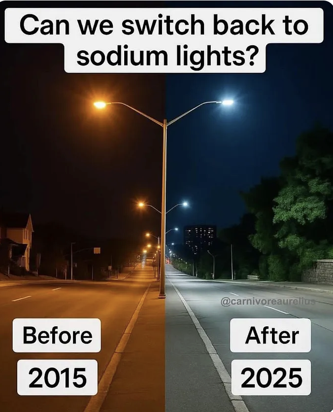 Carnivore Aurelius ©🥩 ☀️🦙 (@alpacaaurelius) on Twitter photo 