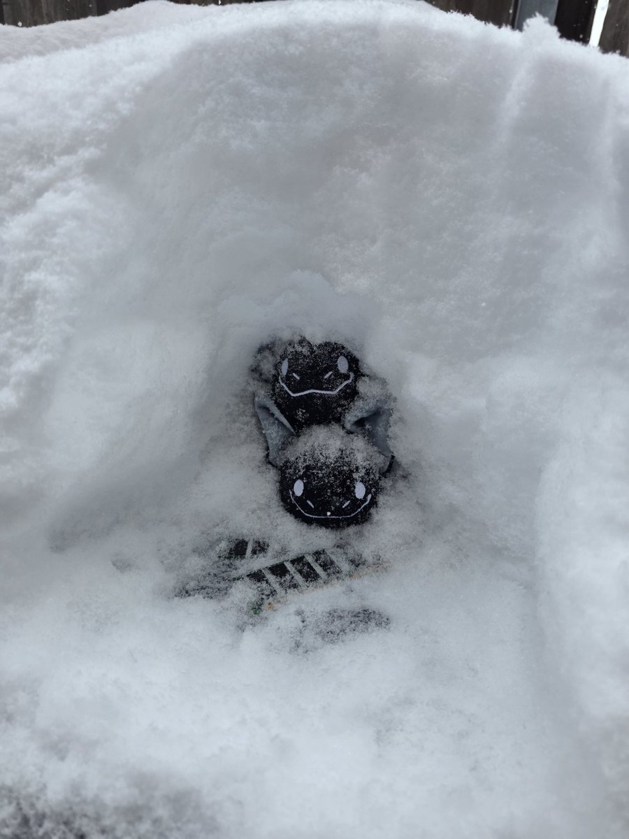 TechSparky tweet media