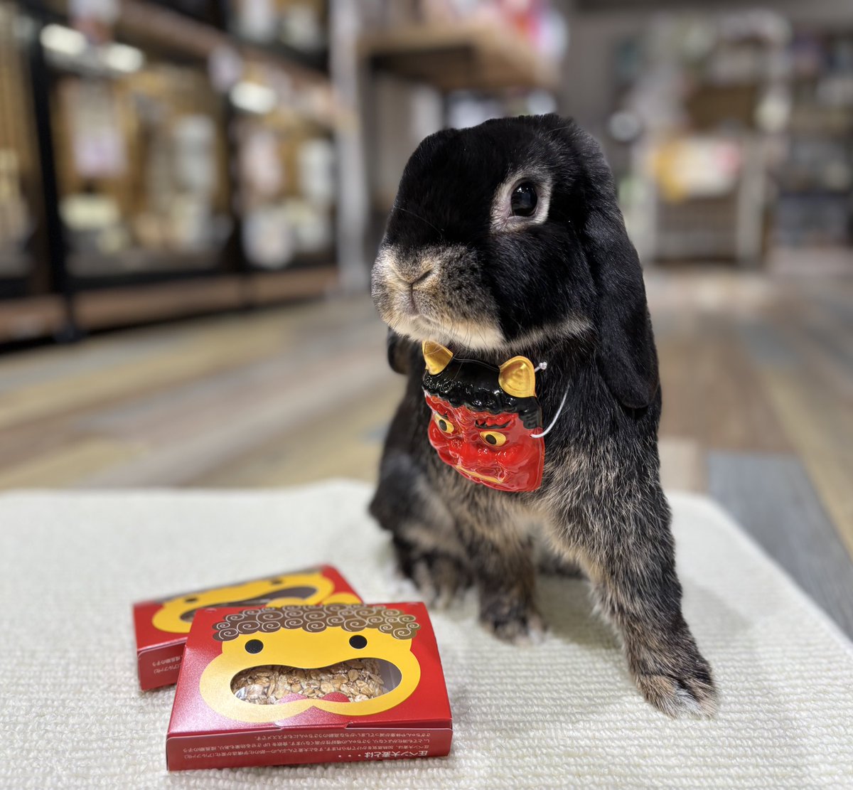 うさぎのしっぽ (@sippo_info) / Posts / X