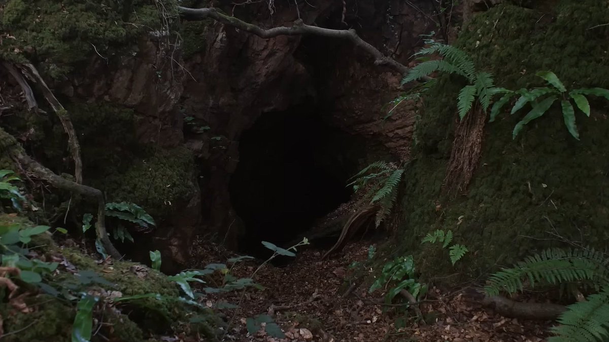 screenscaps's tweet image. hamnet (2025) dir. chloé zhao