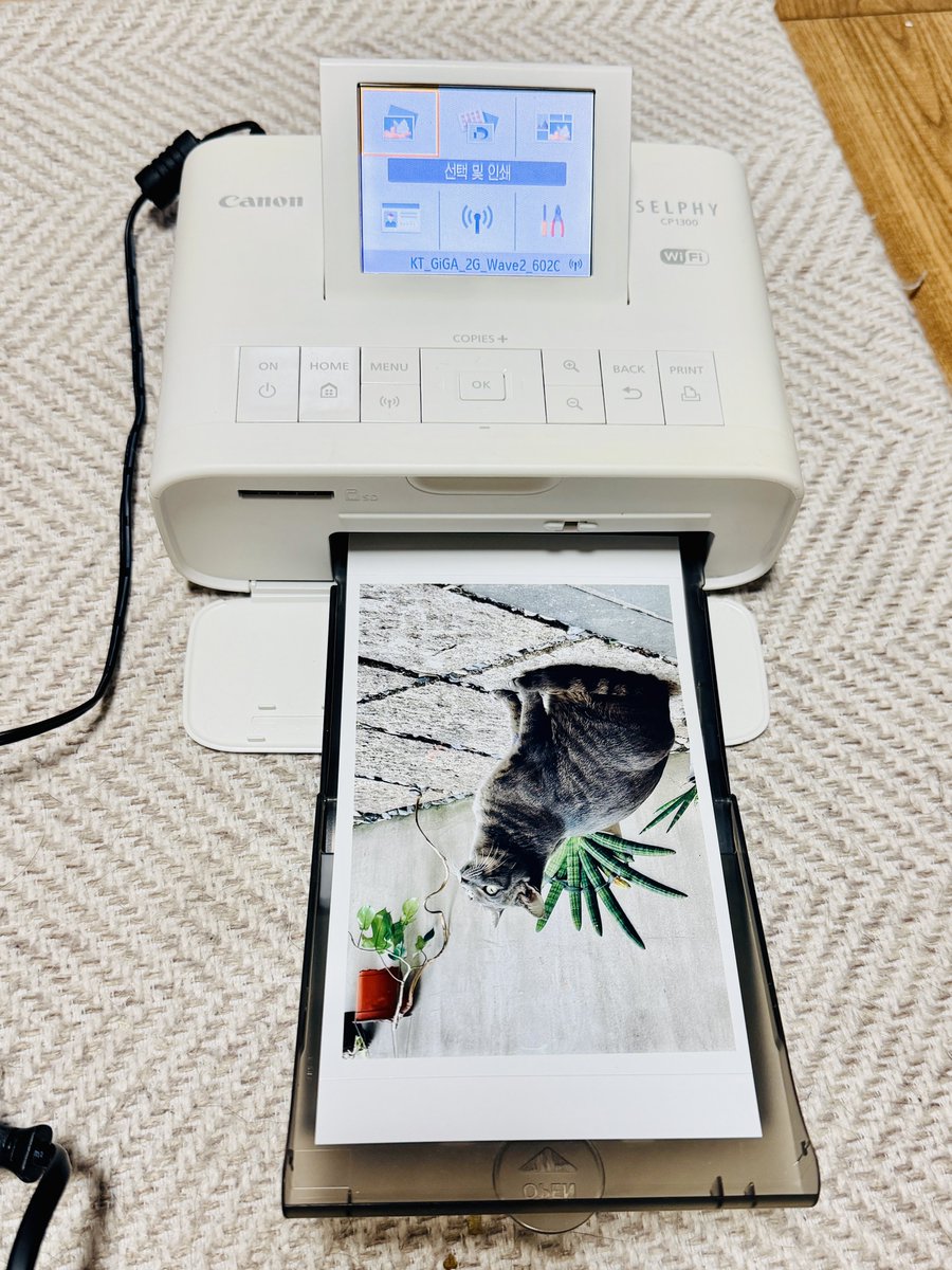 ohmir's tweet image. 용지 인식을 못 해서 병원 보낸다니까 되네 때리지는 않았음