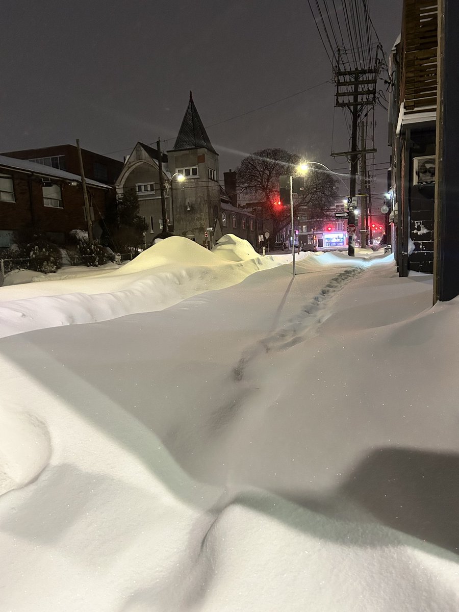 PdotChan's tweet image. Cars buried in ❄️ #toronto @WestQueenWest #Snowstorm2026