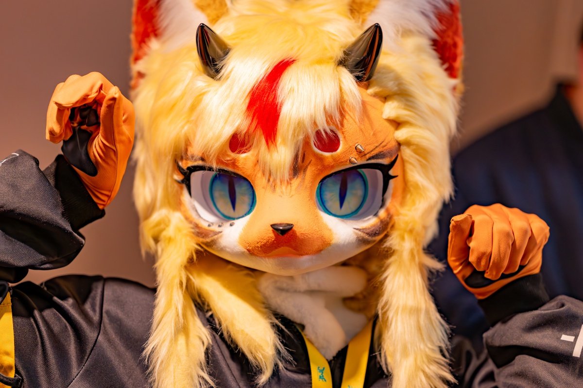 jmofで撮っていただいたお写真🐯

📸:<a href="/cat_makina/">マキナ Makina</a> 
🐯ちゃんオーナー:<a href="/koyakoyaurazatu/">乱虎🐅</a>