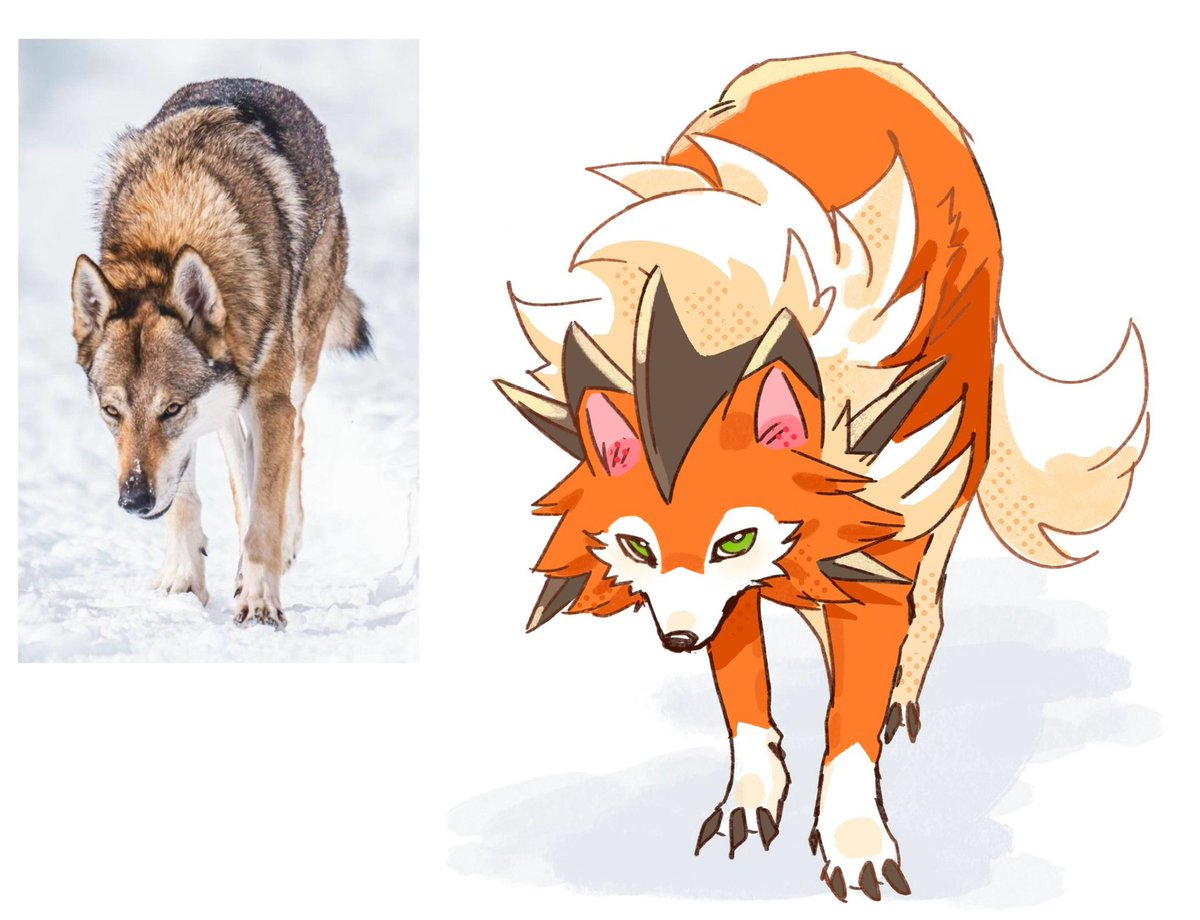 세타 セタ (@seta629211) on Twitter photo 