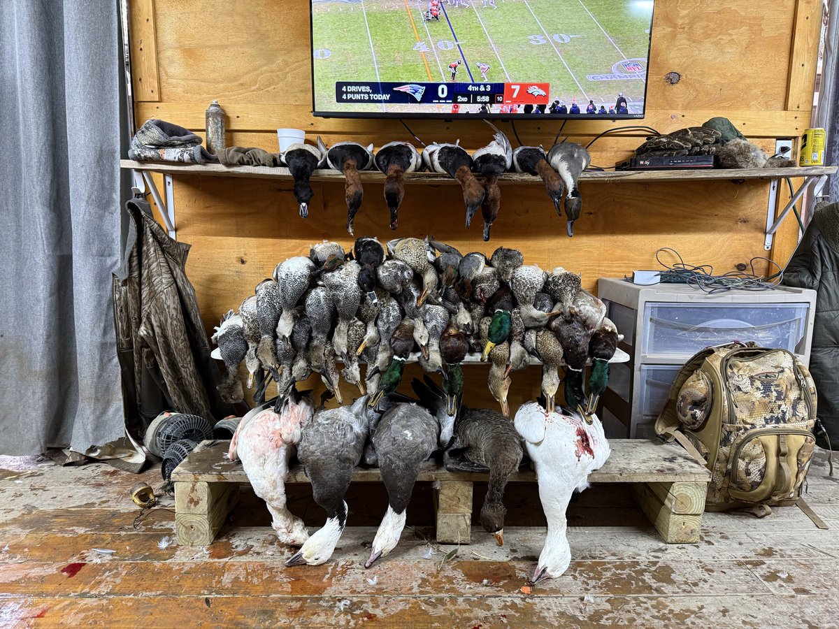 Tygh Brogdon tweet media