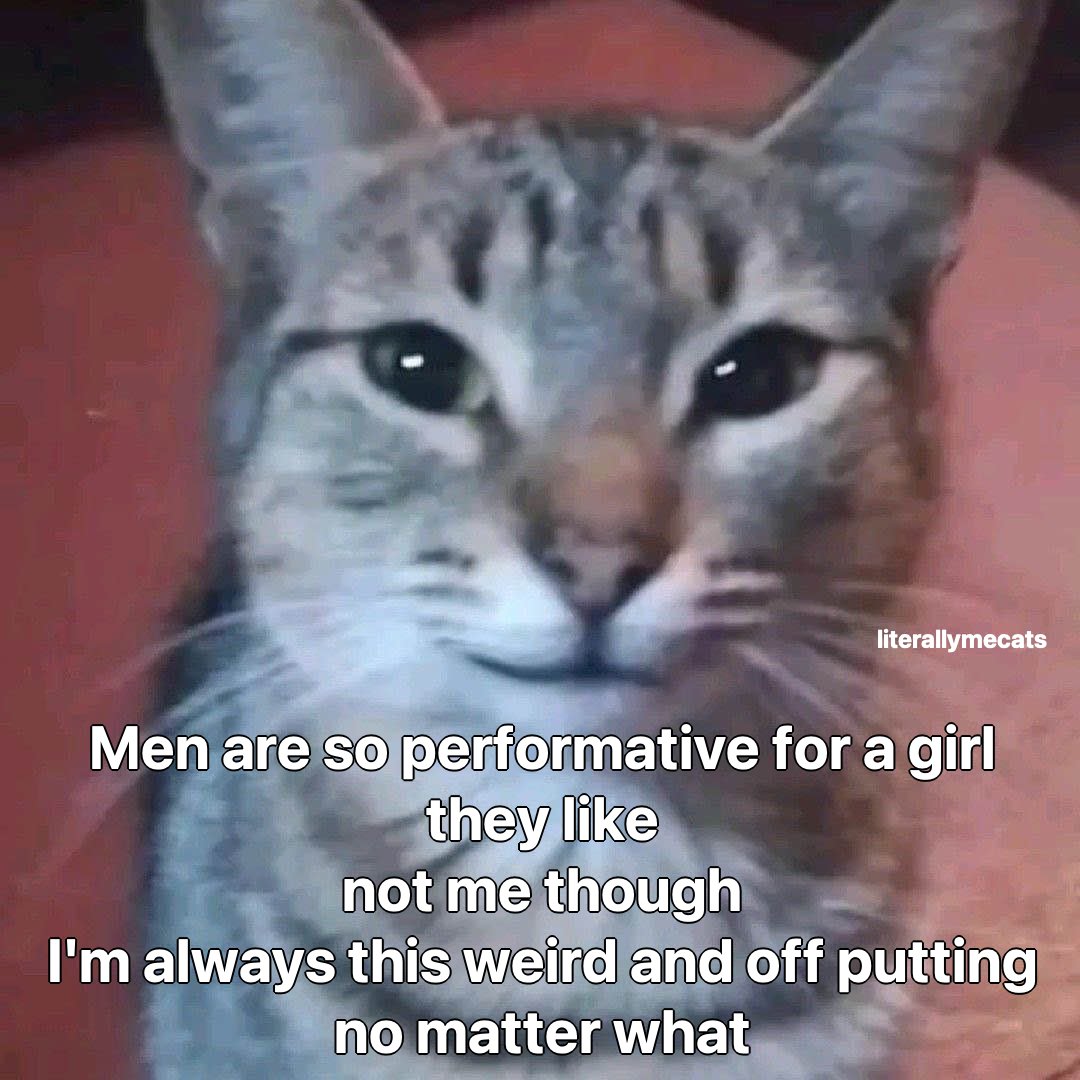 LiterallyMeCats (@literallymecats) on Twitter photo 