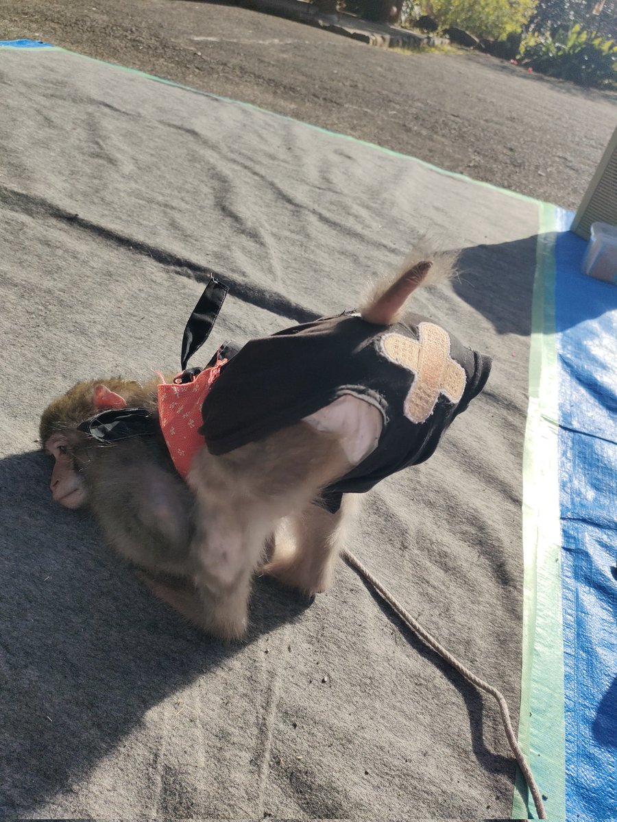 せくちー注意🤫