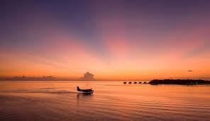 Ctx67_'s tweet image. قد تكون الرحله التي تخاف خوضها هي انجح رحلات حياتك ،                                     " ثق بنفسك "🌸