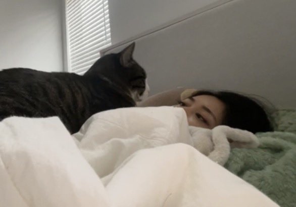 Rach 🩵 tweet media