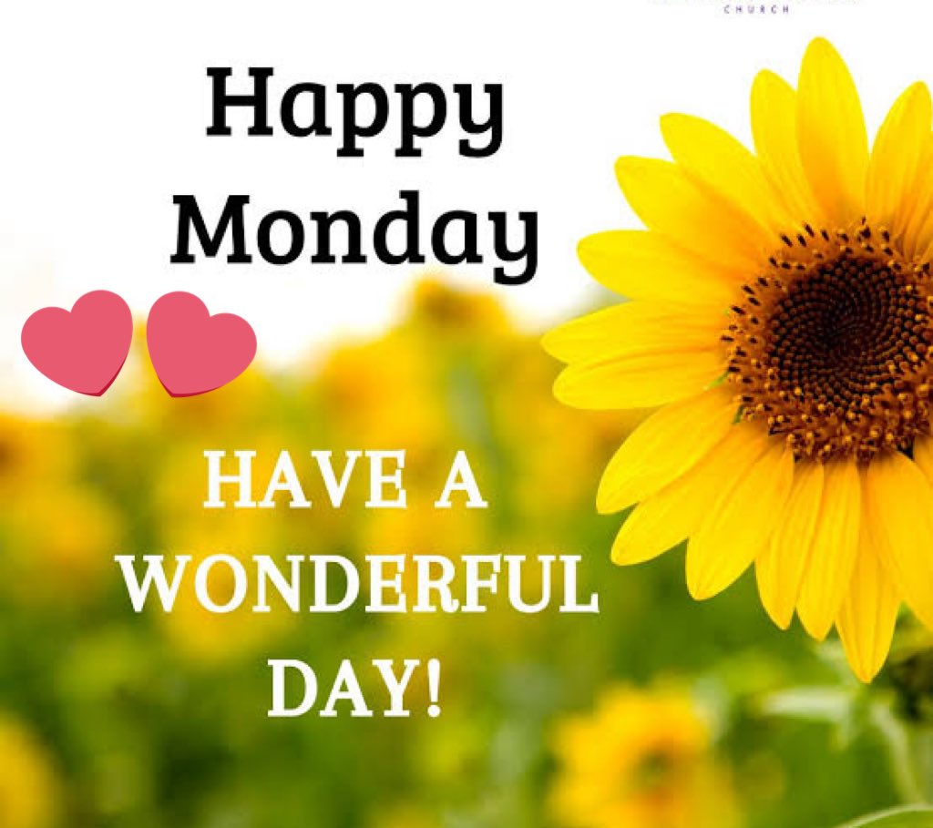 Madiha915's tweet image. Good morning 
My dear all loving friends 
wish you a Happy day
and a wonderful 
New week 
with joyful moments 
around you 
#SunFlowers 
#NatureBeauty 
#GoodMorning 
💕💎💕💎💕💎