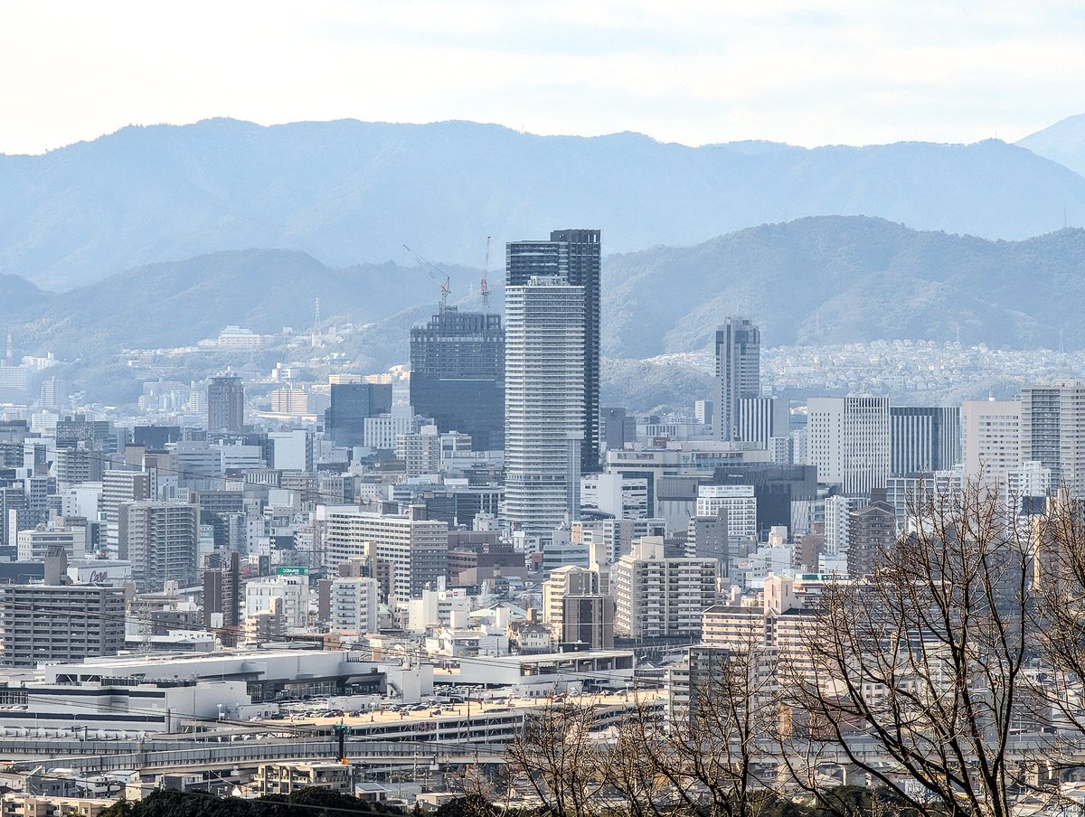 鯉党α（アンドビルド広島） (@abhiroshima) / Posts / X