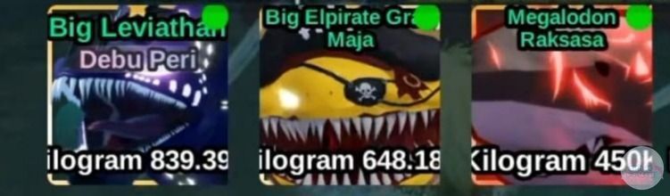 FISH IT FESS ‼️ WTT CANTUMIN UNAME tweet media
