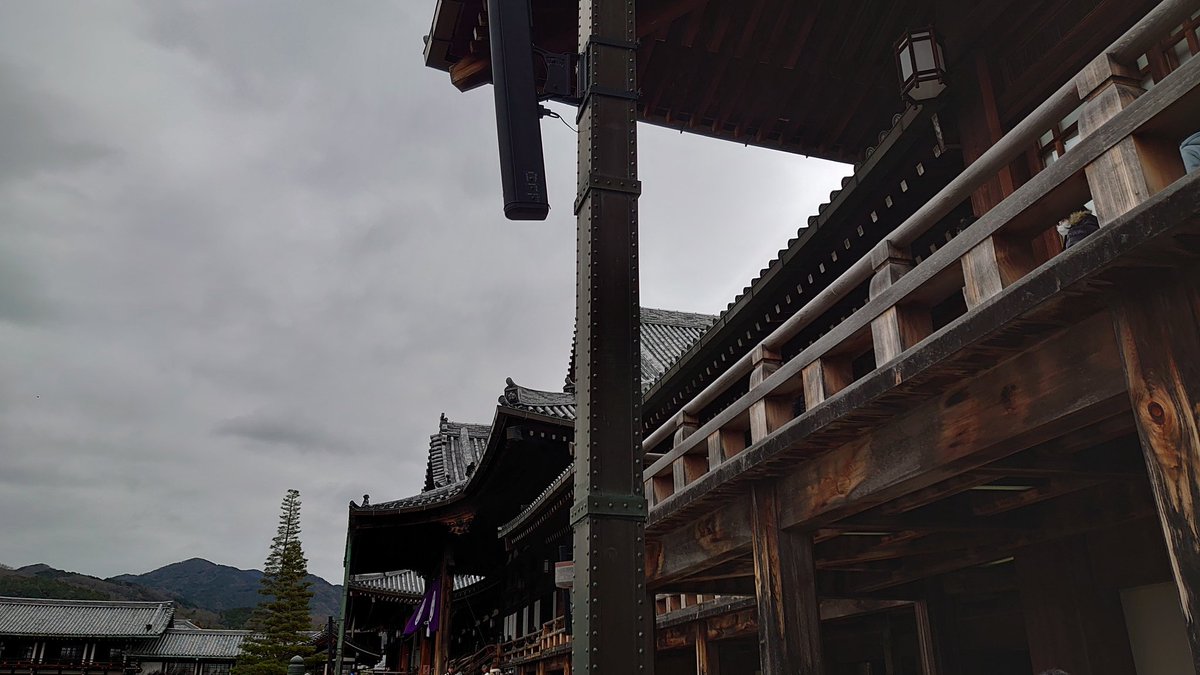 VRZiso's tweet image. 北だよ