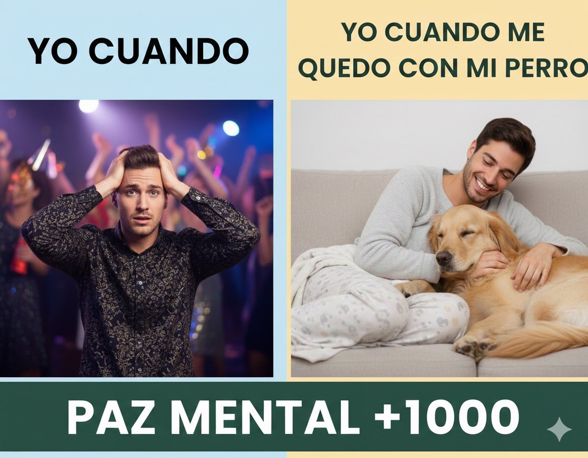 Morfeo7's tweet image. Si soy… Confirmo…