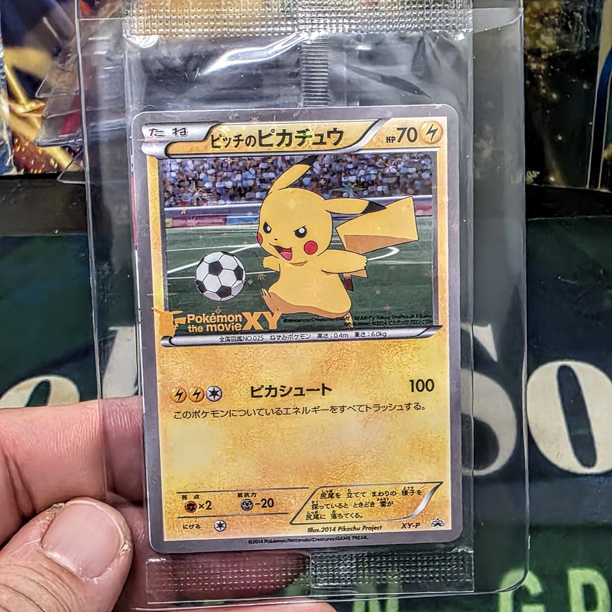 𝕁𝕒𝕪 𝔹𝕠𝕓 & 𝕊𝕠𝕟𝕤 tweet media