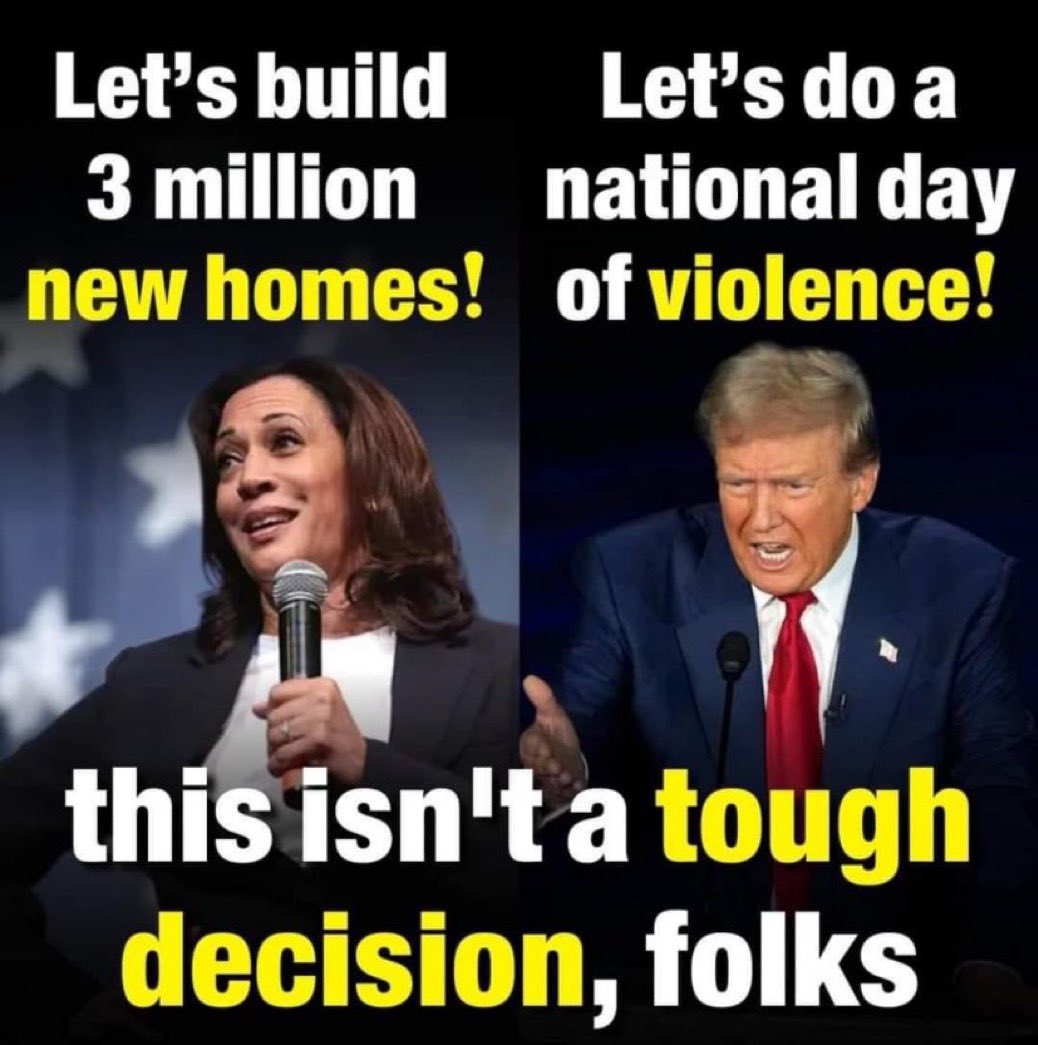 PoppyJoe -Democrat Free the Vote tweet media