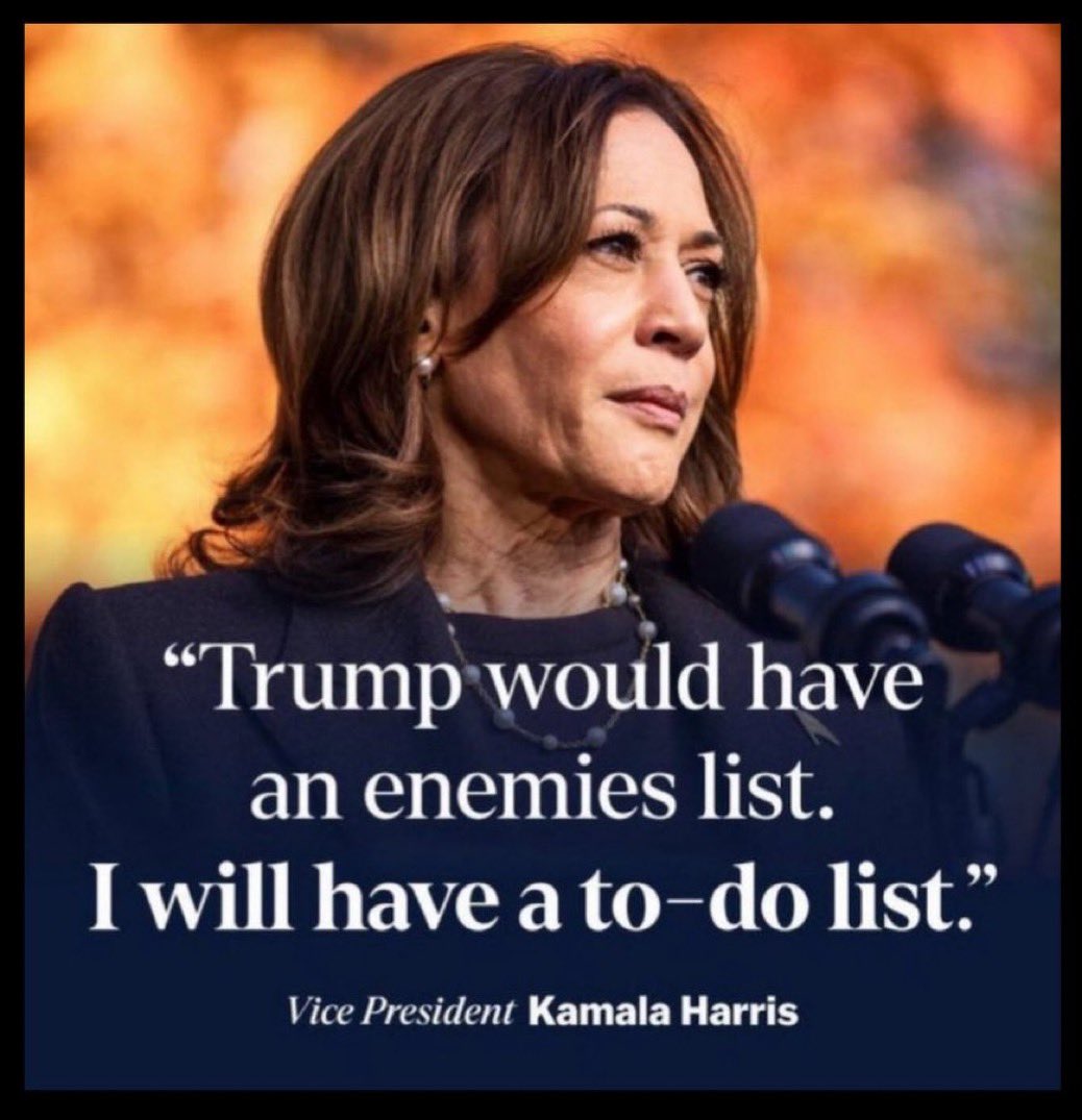 PoppyJoe -Democrat Free the Vote tweet media