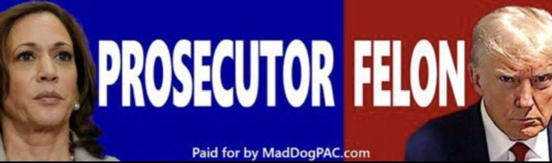 PoppyJoe -Democrat Free the Vote tweet media