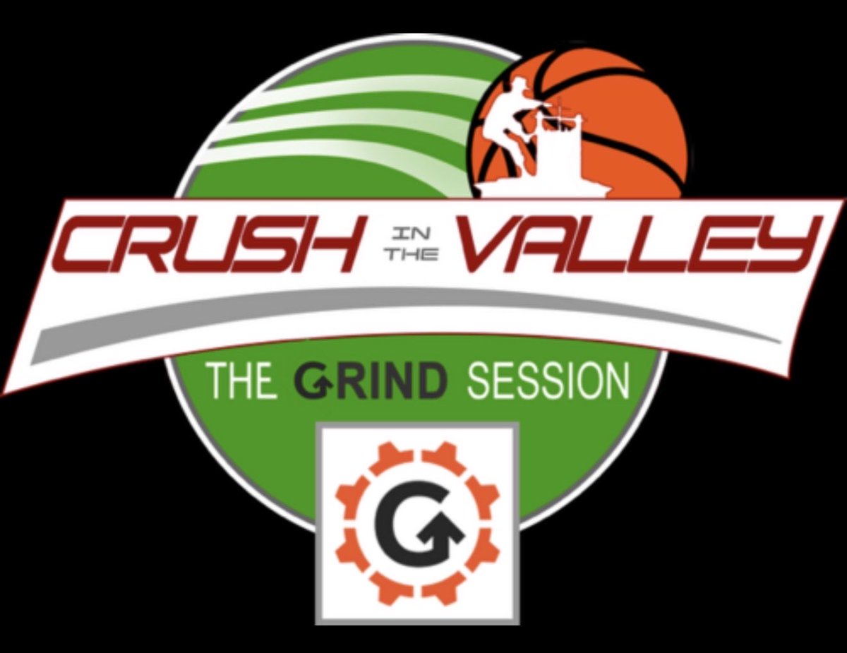 Pro Insight tweet media