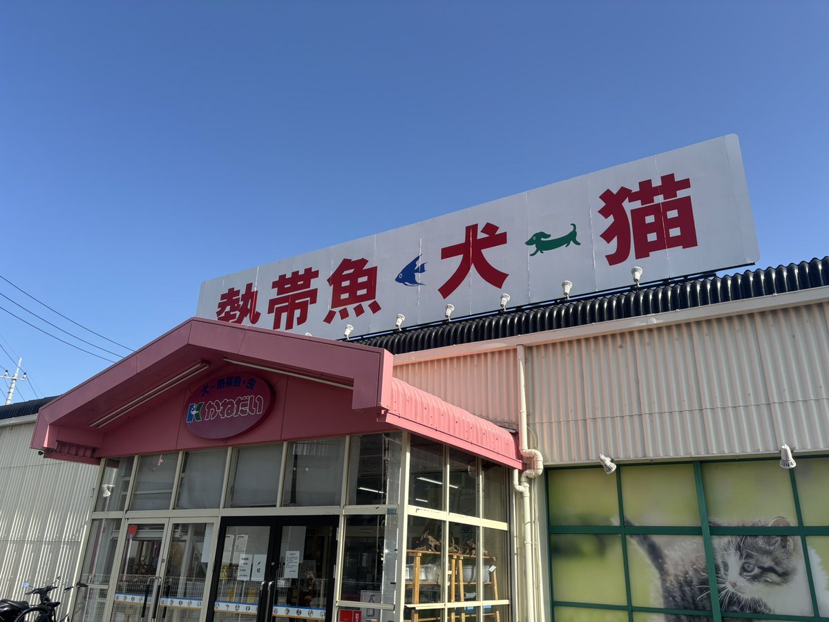 仕事で海老名の近くまできたので寄れた🎊