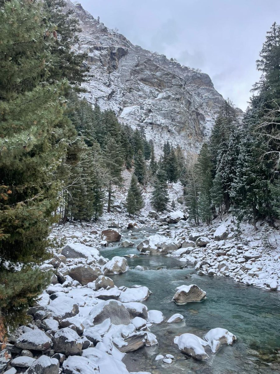 pankajsasan tweet media