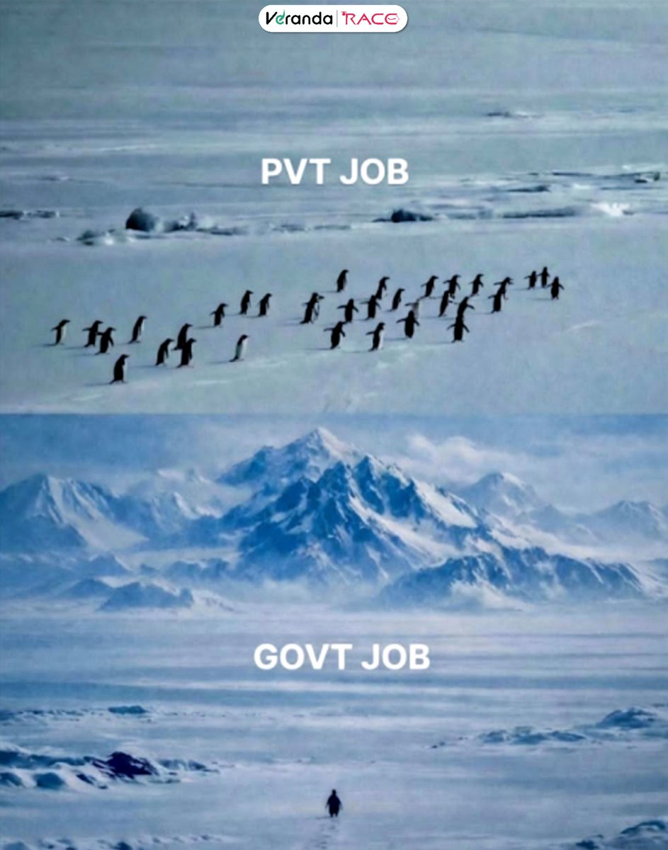 Penguins that fly are trained in Veranda Race. Choose stability. 

#VerandaRACE