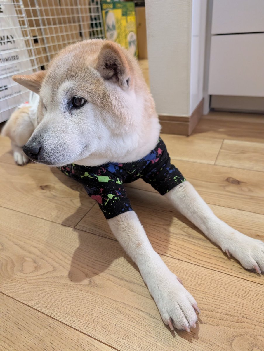 ごうやま (@UfedMLxsFWF92uf) / Posts / X