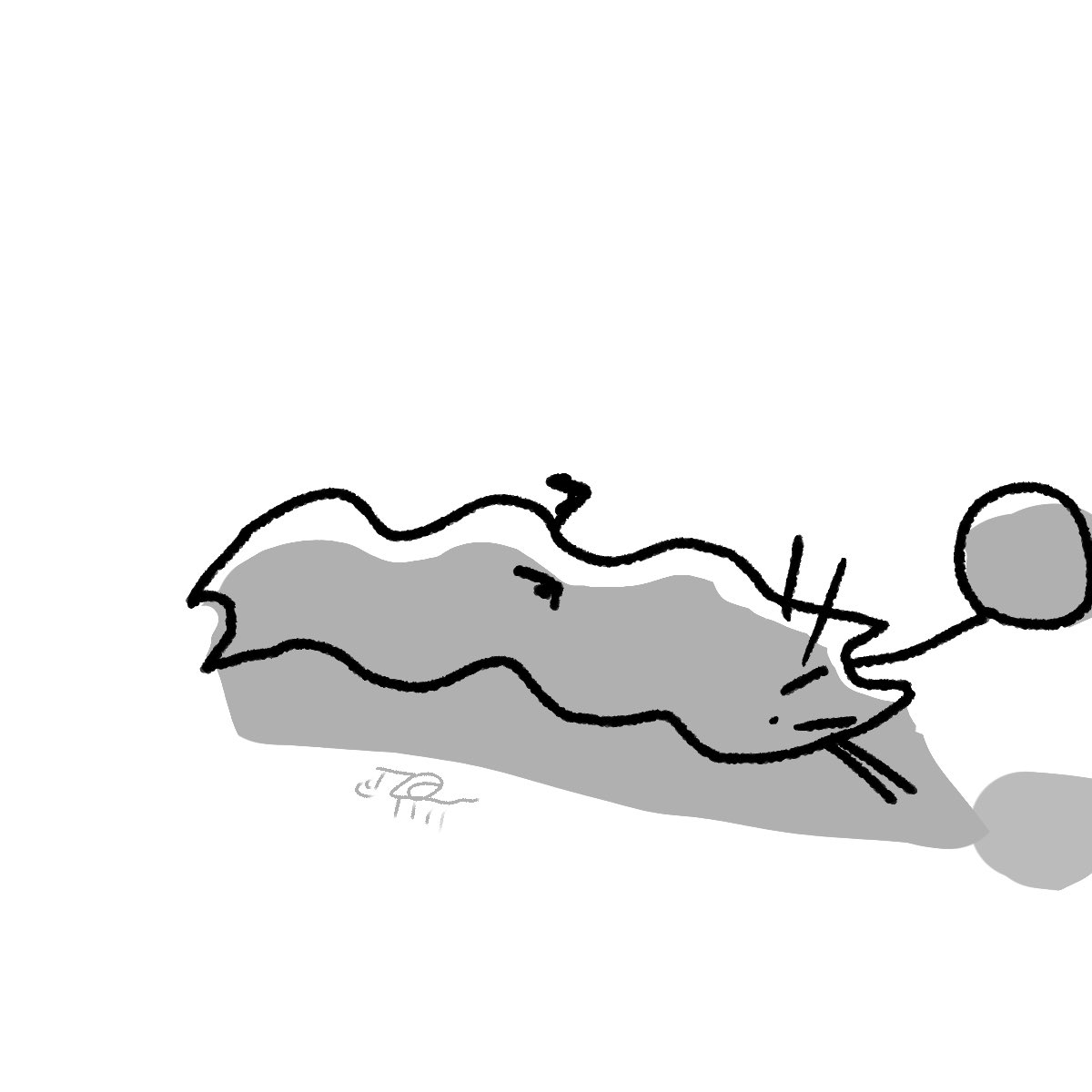 ひつじ🐏 tweet media