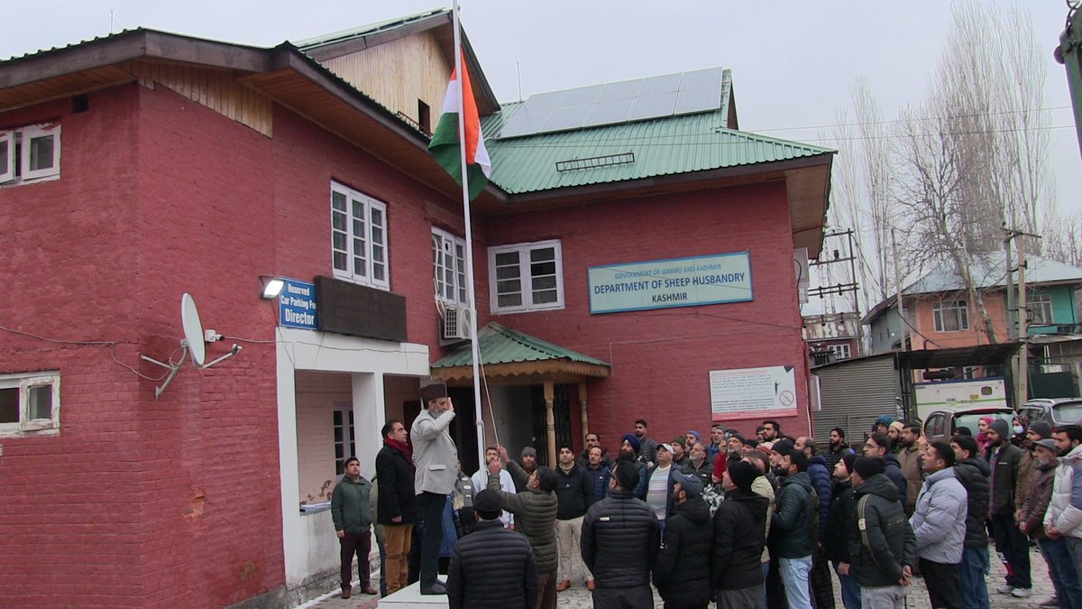 Directorate Of Sheep Husbandry Kashmir tweet media