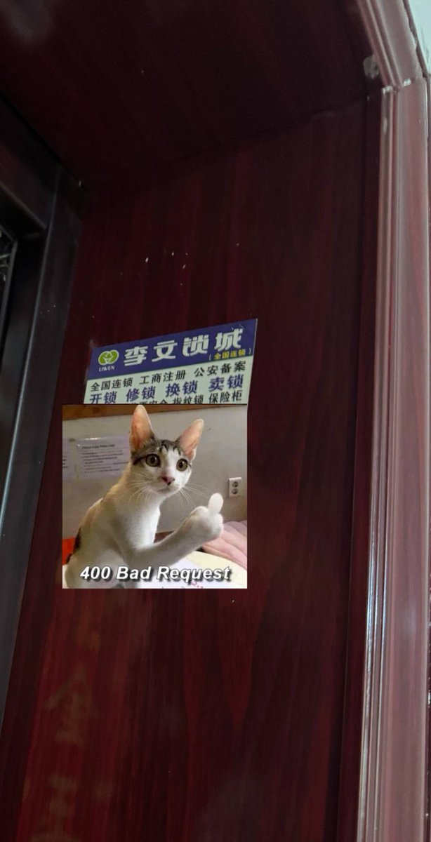 Kiseopt@猫bot(伪) tweet media