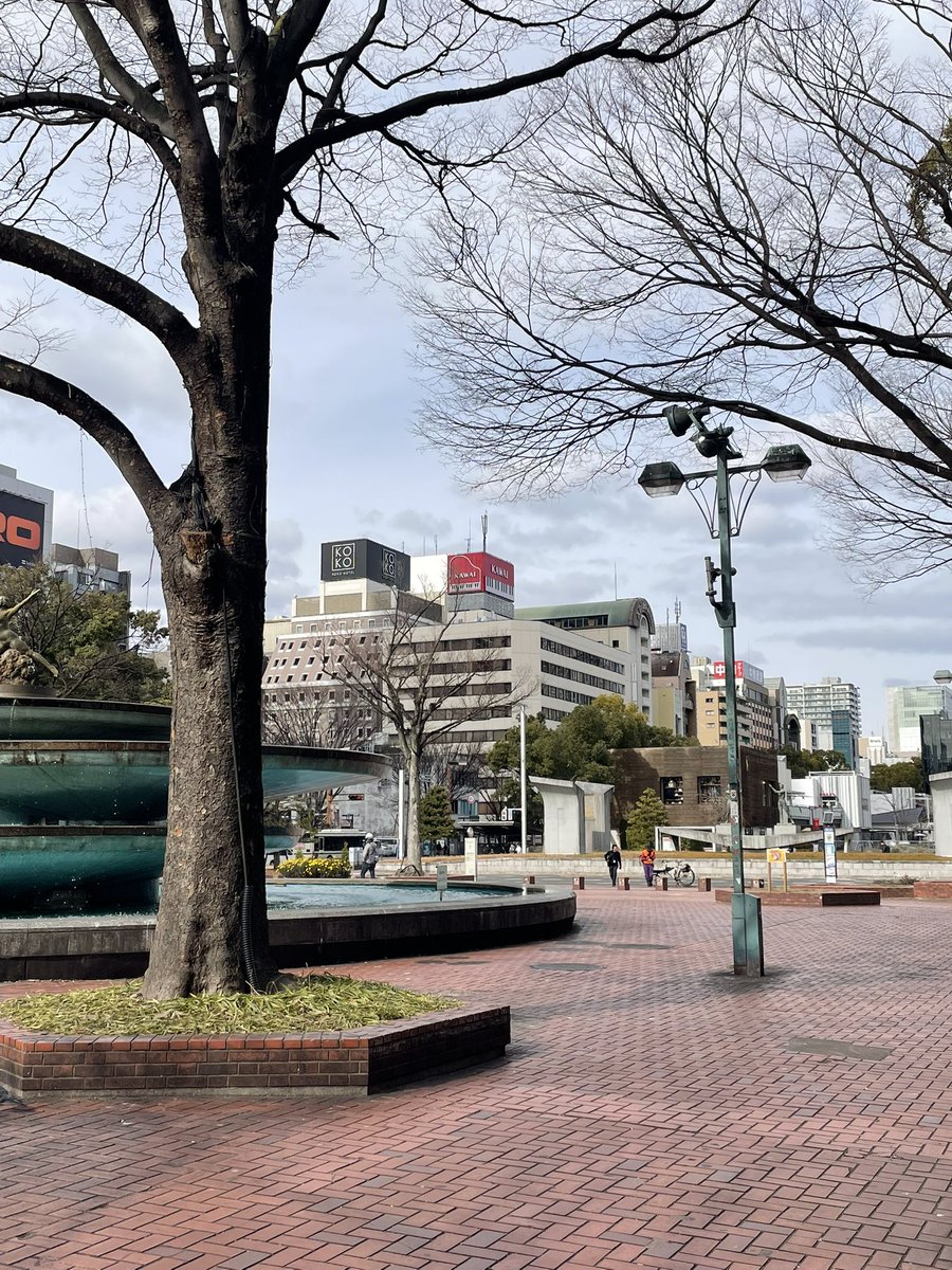 Inspicon's tweet image. 某所