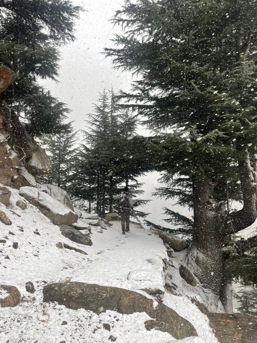 pankajsasan tweet media