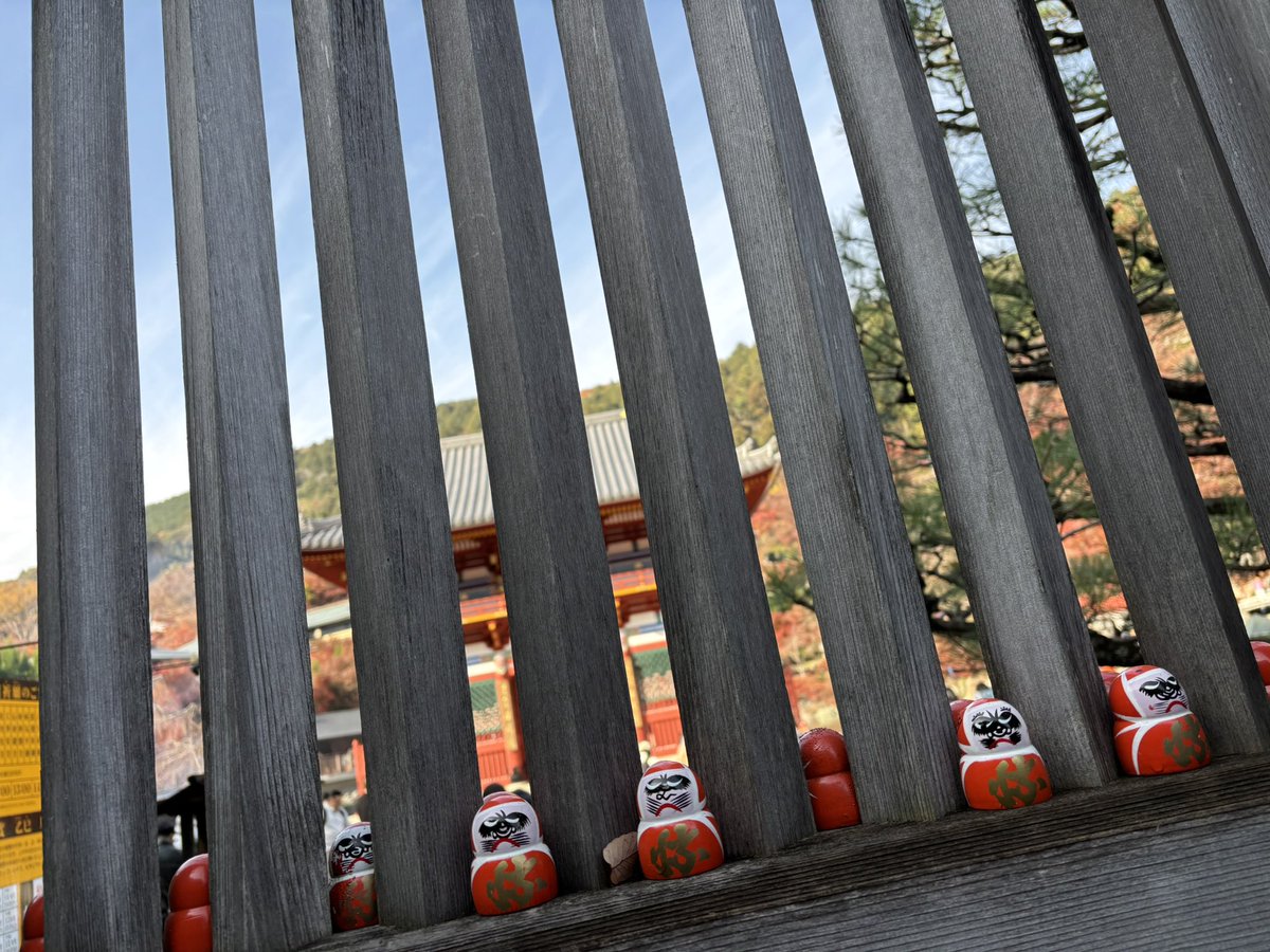 辰樹 -tatsuki- tweet media