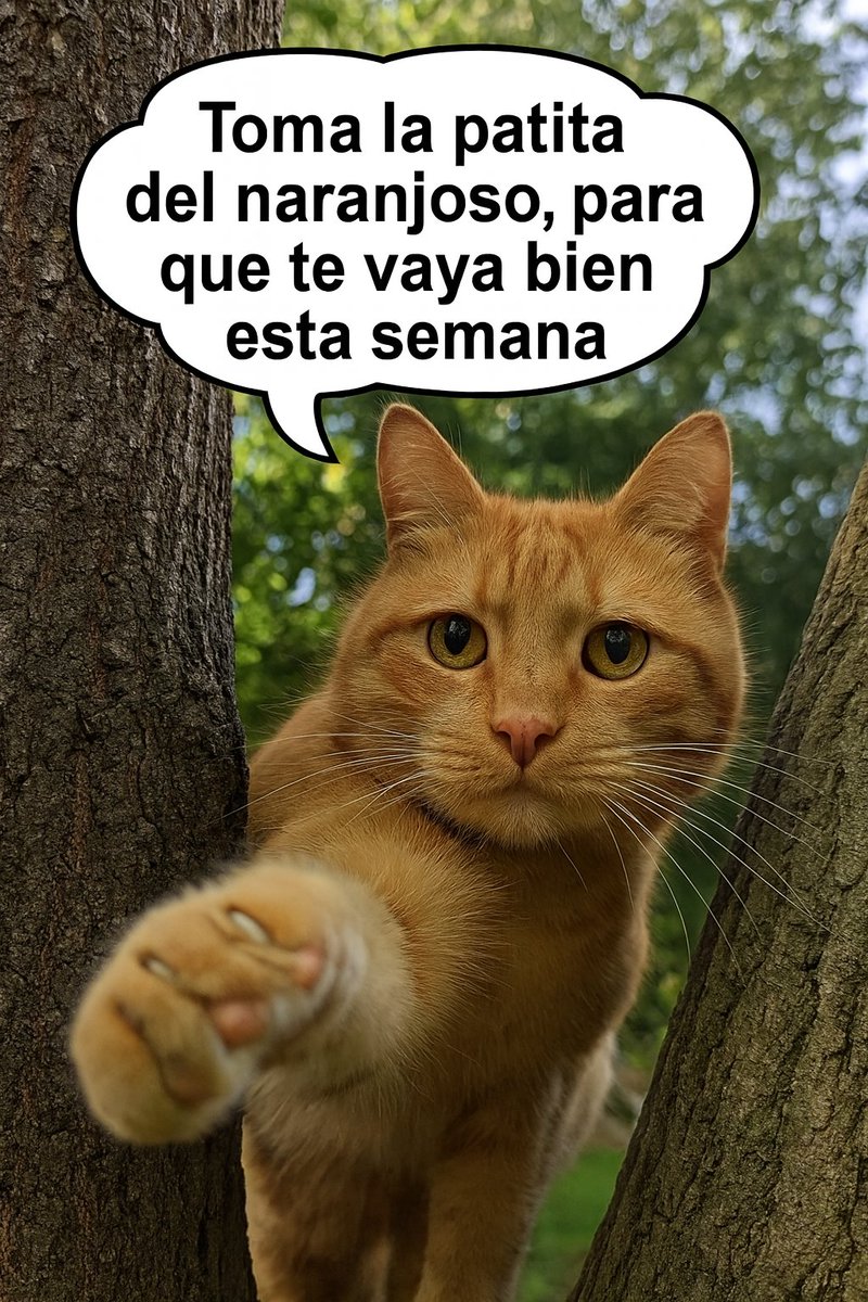 YouBall Z (@youballsuper) on Twitter photo 