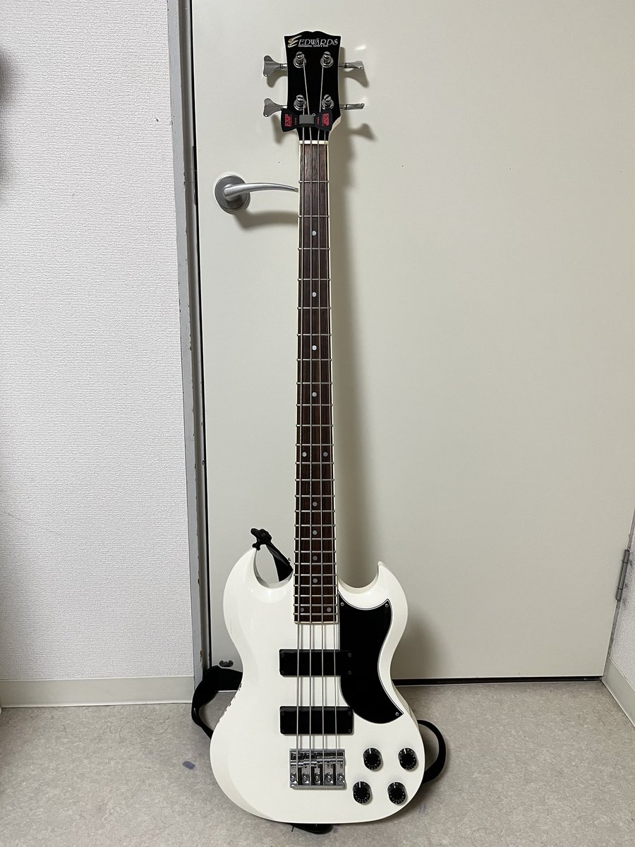 🎸MY NEW GEAR🎸 EDWARDS E-J-90MF 先月5弦フライングVベースを迎え